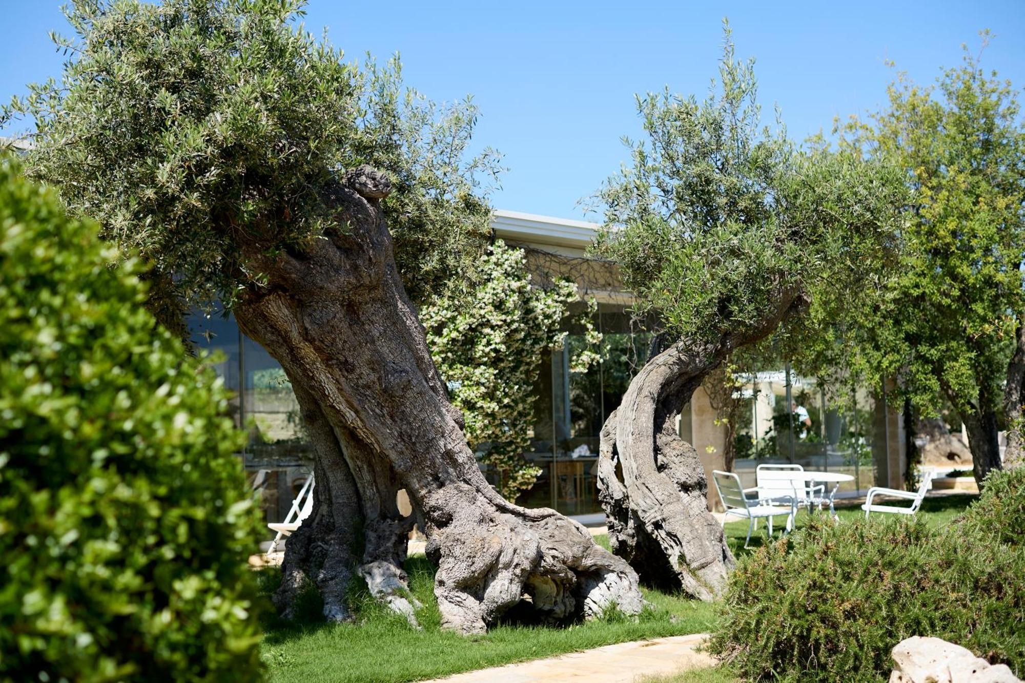 Masseria Torre Del Diamante Torre Canne Exterior foto